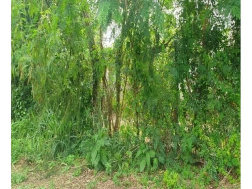 Foto 7 de 10: Terreno em leilão em Saltinho - SP — Terreno à venda em leilão