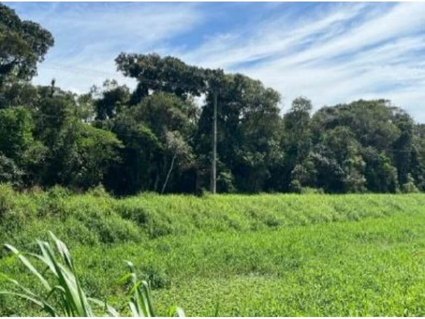 Foto 5 de 5: Terreno em leilão em Matinhos - PR — Terreno à venda em leilão