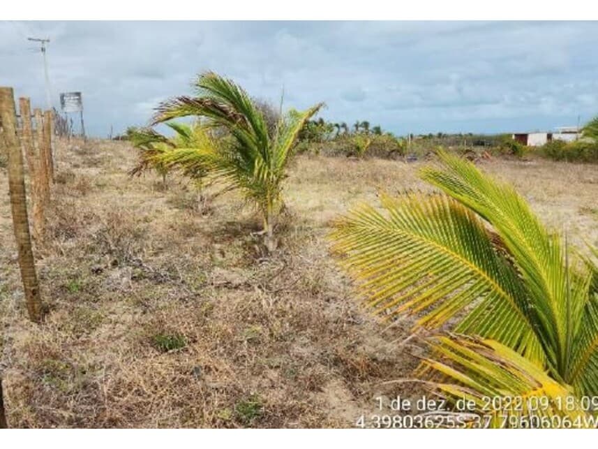 Foto 6 de 9: Terreno em leilão em Fortim - CE — Terreno à venda em leilão