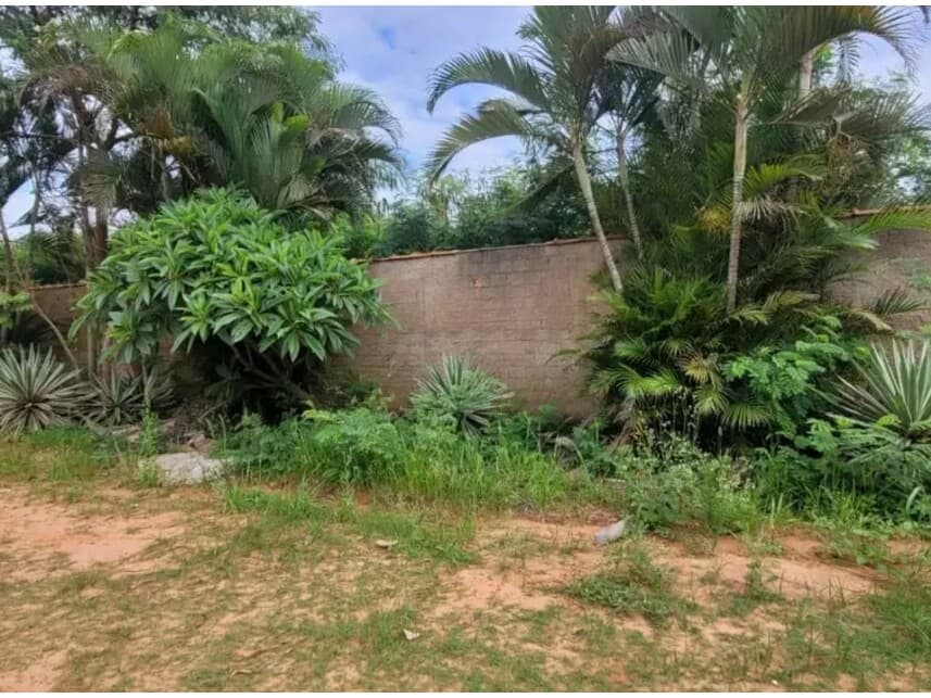 Foto 4 de 14: Comercial em leilão em Tambaú - SP — Complexo Industrial à venda em leilão
