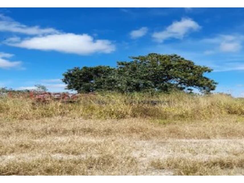 Foto 3 de 3: Area Rural em leilão em Balsas - MA — Área Rural à venda em leilão