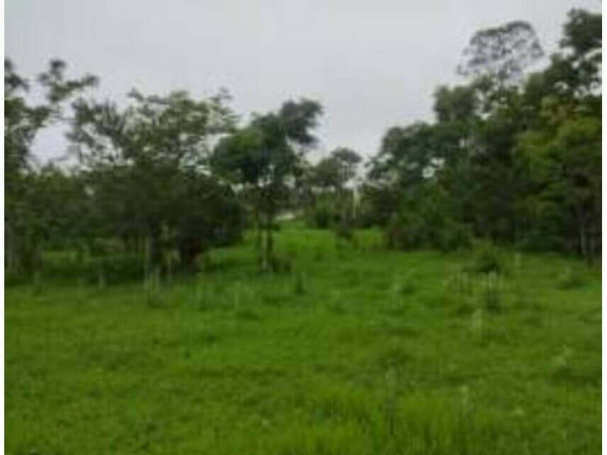 Foto 3 de 17: Terreno em leilão em Cidade Ocidental - GO — Terrenos à venda em leilão