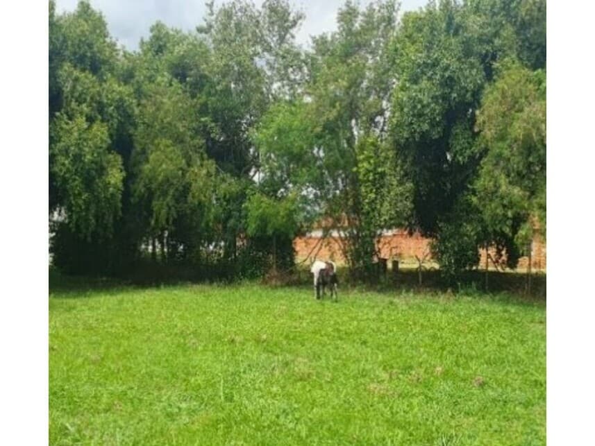 Foto 10 de 10: Terreno em leilão em Saltinho - SP — Terreno à venda em leilão