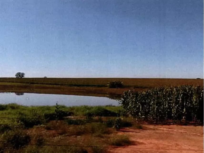 Foto 8 de 8: Area Rural em leilão em Itararé - SP — Área Rural à venda em leilão