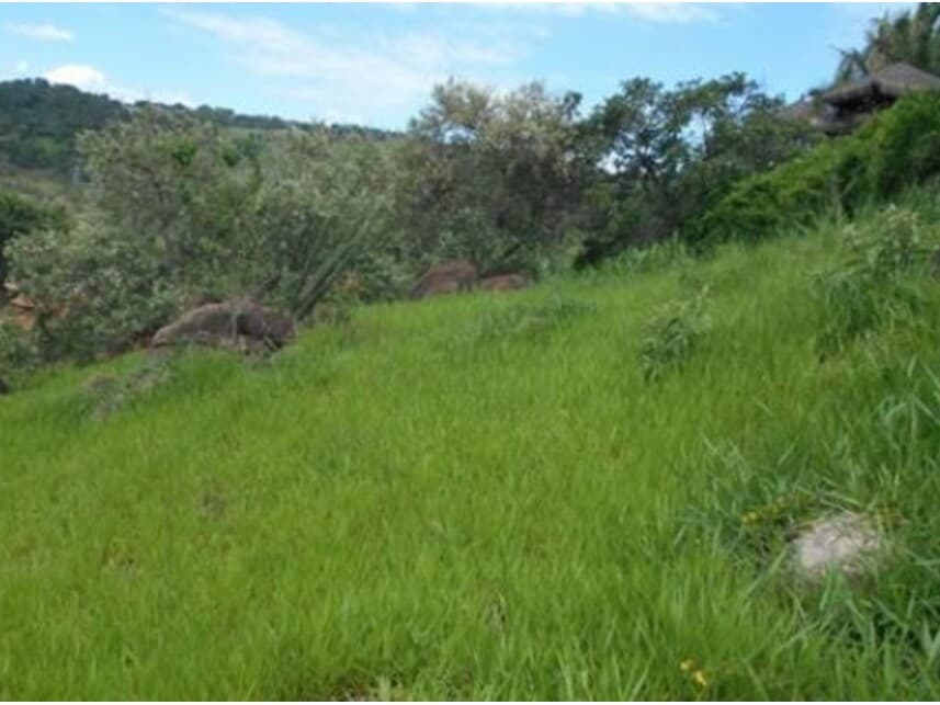 Foto 12 de 13: Terreno em leilão em Valinhos - SP — Terreno à venda em leilão
