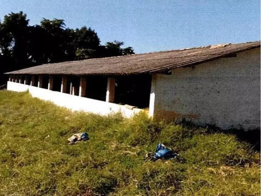 Foto 3 de 8: Area Rural em leilão em Itararé - SP — Área Rural à venda em leilão