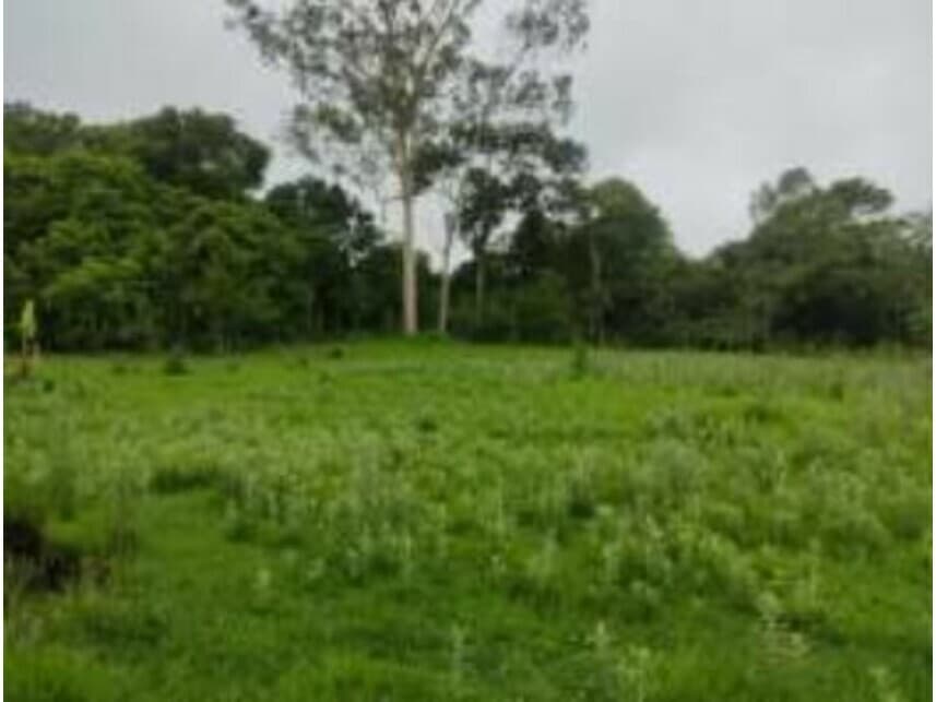 Foto 4 de 17: Terreno em leilão em Cidade Ocidental - GO — Terrenos à venda em leilão