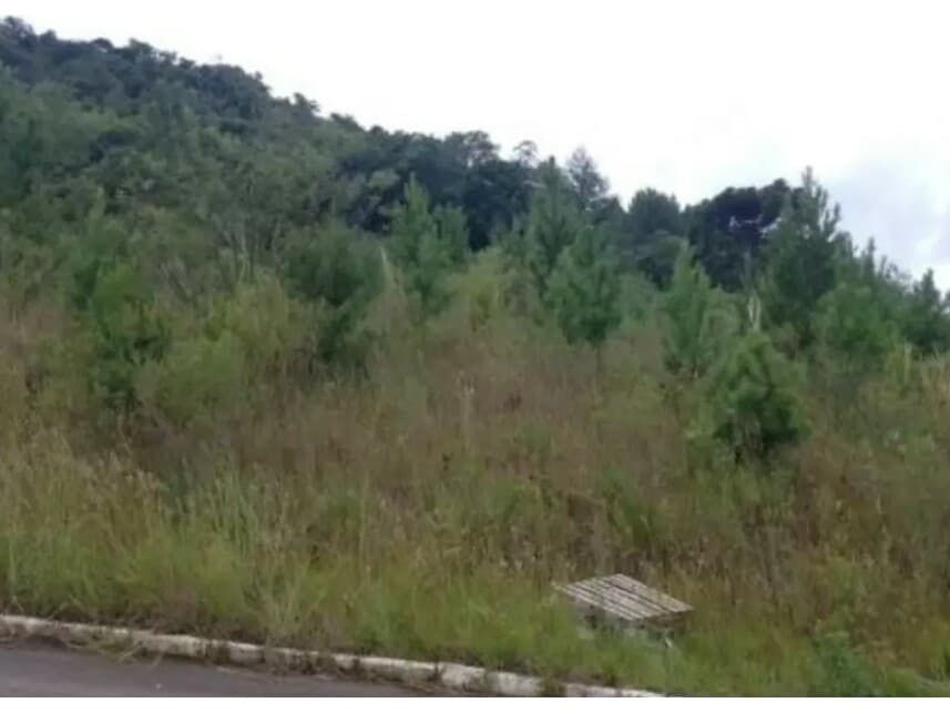 Foto 1 de 2: Terreno em leilão em Nova Petrópolis - RS — Terreno à venda em leilão