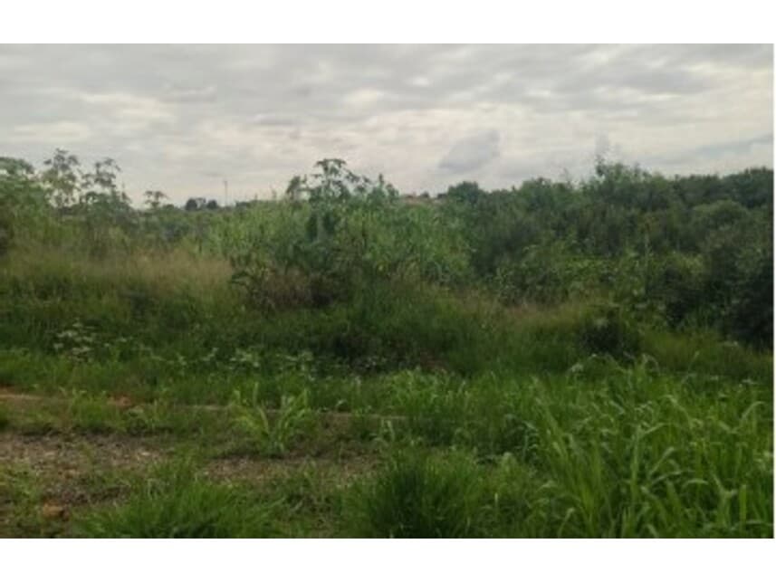 Terreno em leilão em Itapetininga - SP — Terreno à venda em leilão