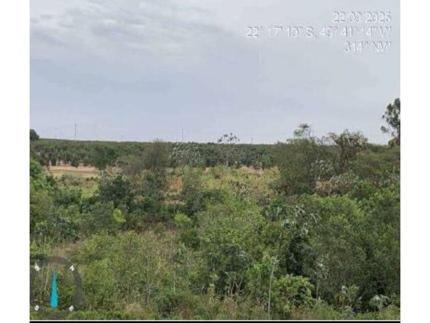 Foto 3 de 3: Area Rural em leilão em Garça - SP — Área Rural à venda em leilão