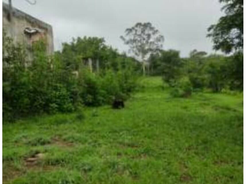 Foto 6 de 17: Terreno em leilão em Cidade Ocidental - GO — Terrenos à venda em leilão