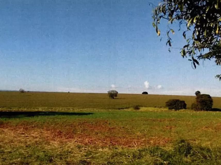 Foto 5 de 7: Area Rural em leilão em Itararé - SP — Área Rural à venda em leilão