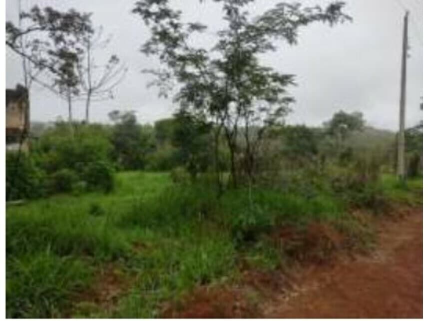 Foto 8 de 17: Terreno em leilão em Cidade Ocidental - GO — Terrenos à venda em leilão