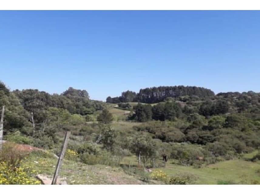 Terreno em leilão em Caxias Do Sul - RS — Terreno à venda em leilão