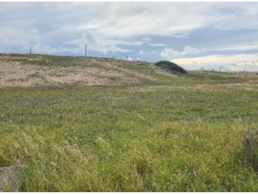 Terreno em leilão em Aquiraz - CE — Terreno à venda em leilão