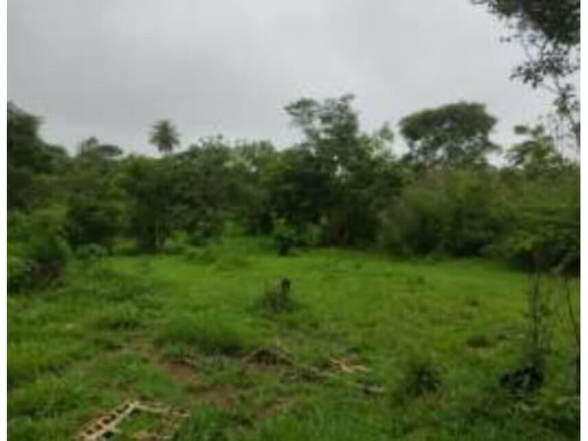 Foto 13 de 17: Terreno em leilão em Cidade Ocidental - GO — Terrenos à venda em leilão