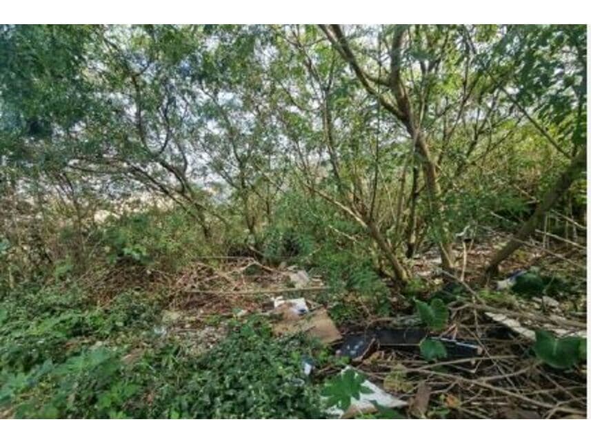 Foto 4 de 6: Terreno em leilão em São Paulo - SP — Terreno à venda em leilão