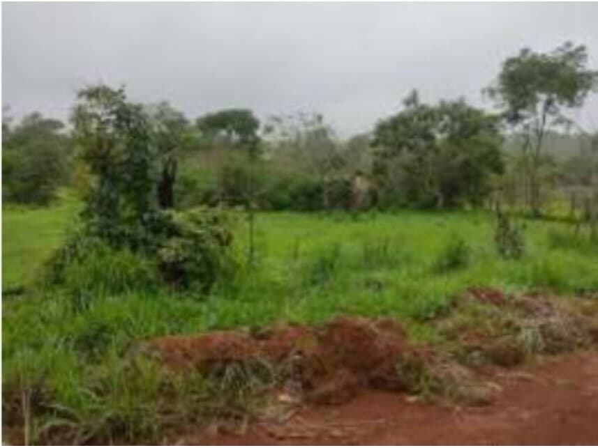Foto 9 de 17: Terreno em leilão em Cidade Ocidental - GO — Terrenos à venda em leilão