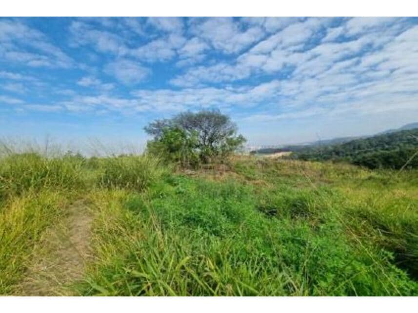 Foto 6 de 6: Terreno em leilão em São Paulo - SP — Terreno à venda em leilão