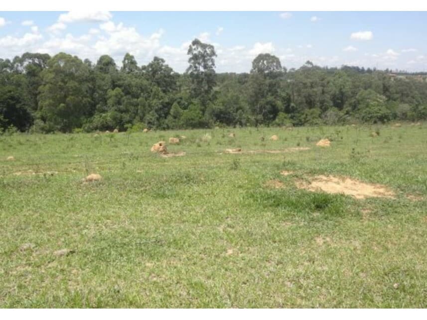 Foto 5 de 6: Area Rural em leilão em Itu - SP — Área Rural à venda em leilão