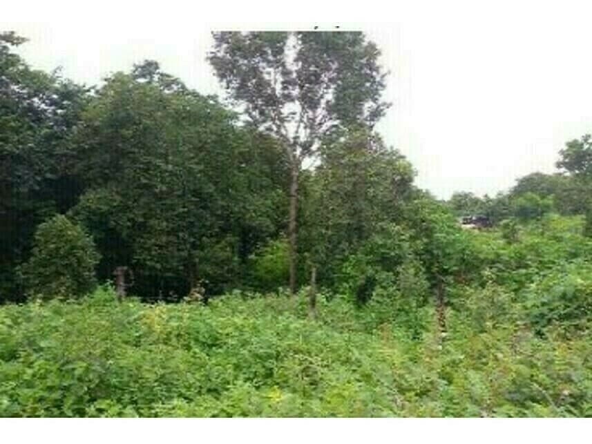 Terreno em leilão em Paraíso Do Tocantins - TO — Terreno à venda em leilão