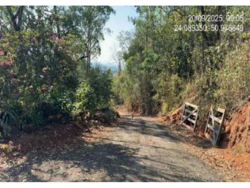 Foto 5 de 5: Area Rural em leilão em Ortigueira - PR — Área Rural à venda em leilão