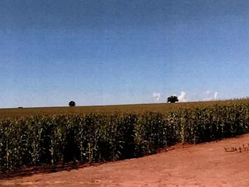 Foto 7 de 8: Area Rural em leilão em Itararé - SP — Área Rural à venda em leilão