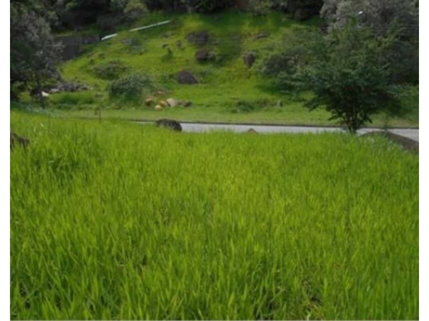 Foto 10 de 13: Terreno em leilão em Valinhos - SP — Terreno à venda em leilão