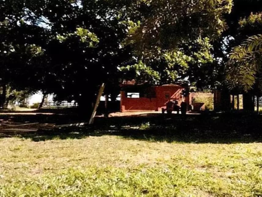 Foto 5 de 8: Area Rural em leilão em Itararé - SP — Área Rural à venda em leilão