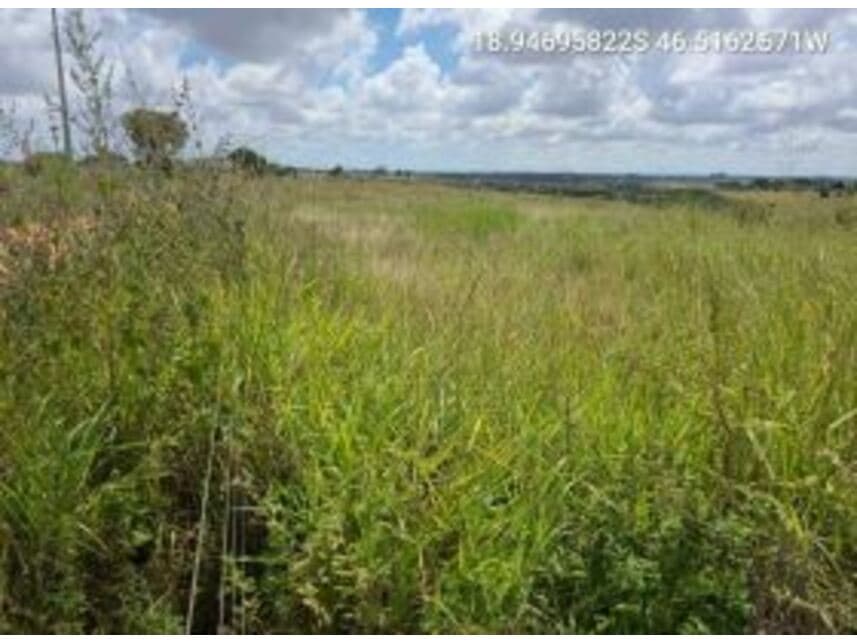 Foto 3 de 3: Area Rural em leilão em Serra Do Salitre - MG — Área Rural à venda em leilão