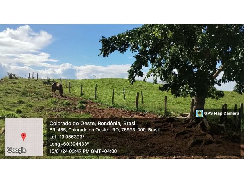 Foto 5 de 24: Area Rural em leilão em Vilhena - RO — Sítio à venda em leilão
