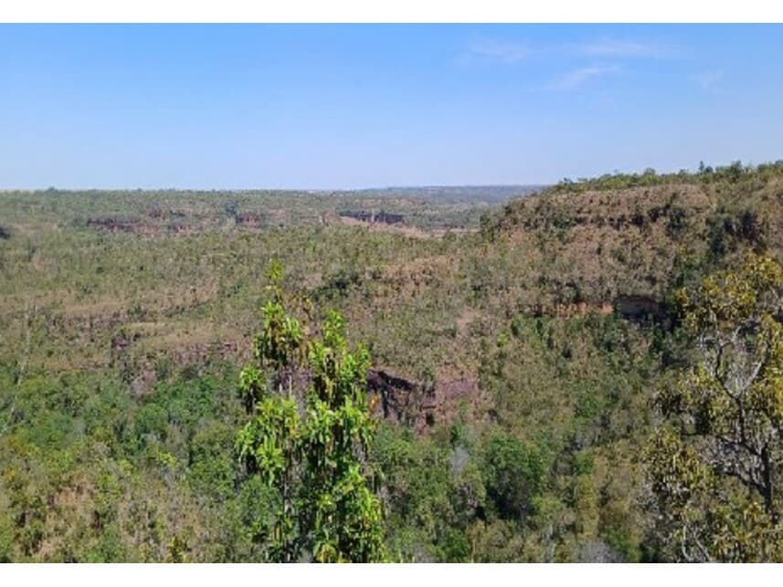 Foto 3 de 3: Area Rural em leilão em Campos Lindos - TO — Área Rural à venda em leilão