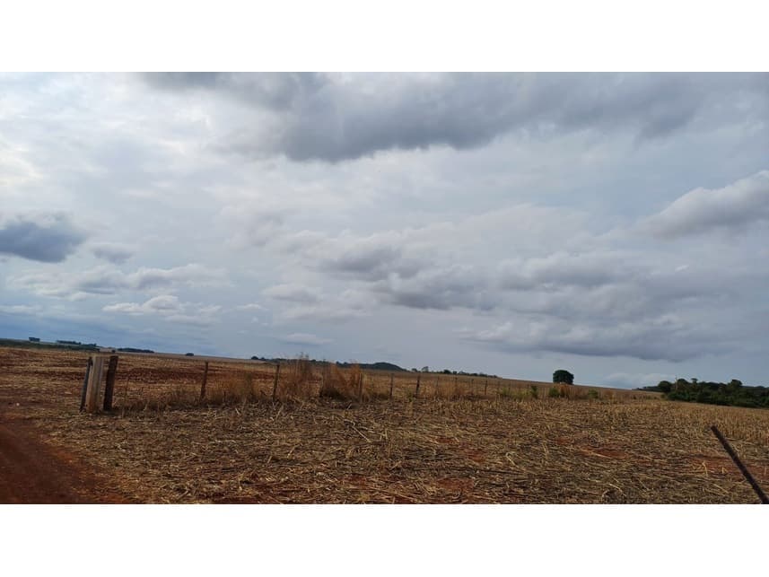Foto 3 de 3: Area Rural em leilão em Montividiu - GO — Fazenda à venda em leilão