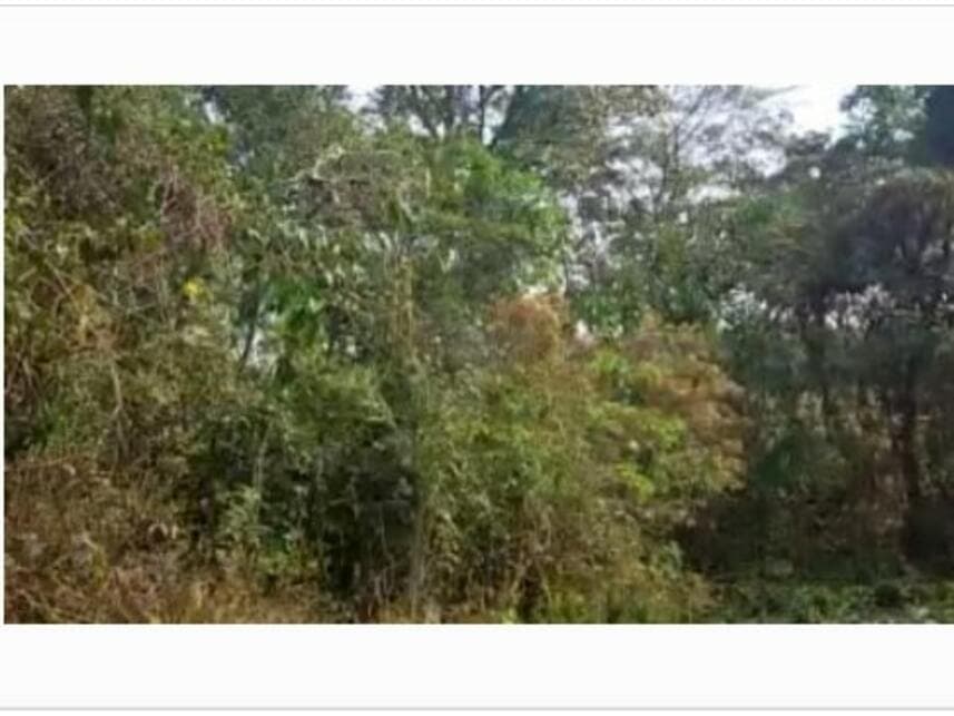 Foto 2 de 6: Terreno em leilão em Valinhos - SP — Terreno à venda em leilão