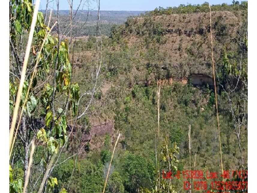 Foto 2 de 3: Area Rural em leilão em Campos Lindos - TO — Área Rural à venda em leilão