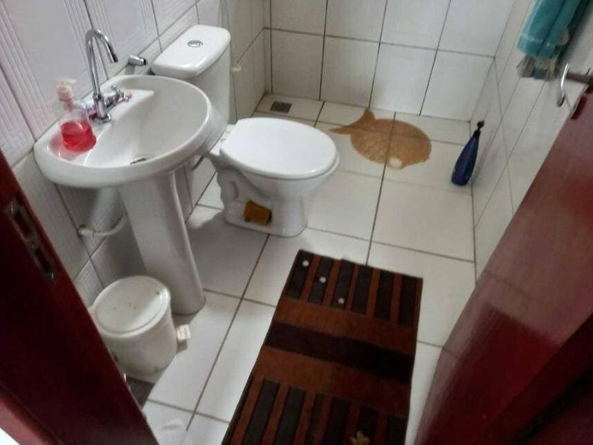 Foto 12 de 18: Casa em leilão em Campo Grande - MS — Casa à venda em leilão