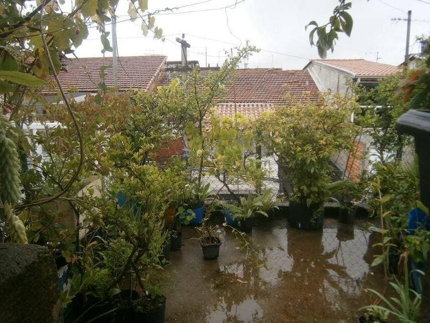 Foto 11 de 11: Casa em leilão em São Paulo - SP — Casa à venda em leilão