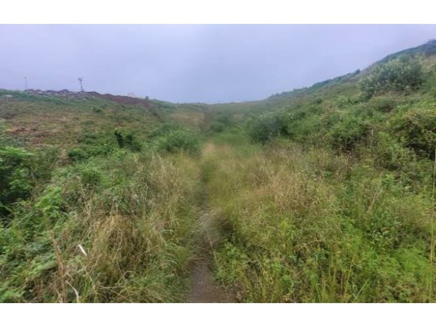 Foto 2 de 3: Terreno em leilão em Timbaúba - PE — Terrenos à venda em leilão