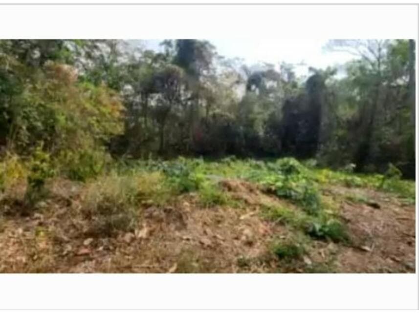Foto 3 de 6: Terreno em leilão em Valinhos - SP — Terreno à venda em leilão