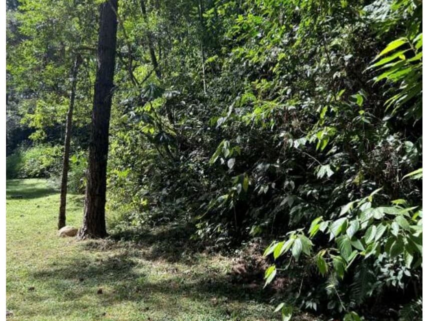 Foto 3 de 3: Terreno em leilão em Itapevi - SP — Terreno à venda em leilão