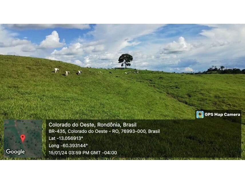 Foto 7 de 24: Area Rural em leilão em Vilhena - RO — Sítio à venda em leilão