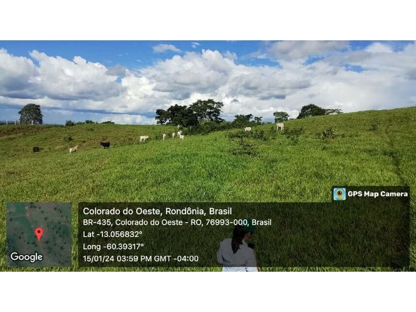 Foto 9 de 24: Area Rural em leilão em Vilhena - RO — Sítio à venda em leilão
