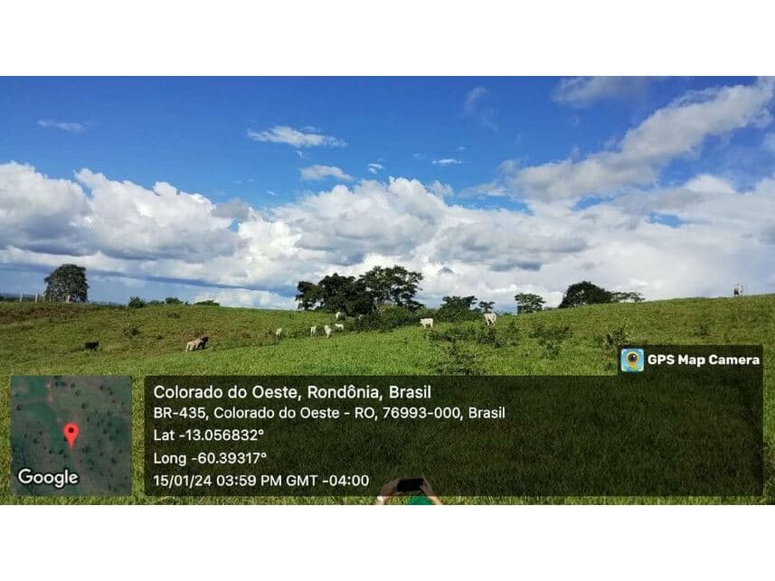 Foto 8 de 24: Area Rural em leilão em Vilhena - RO — Sítio à venda em leilão