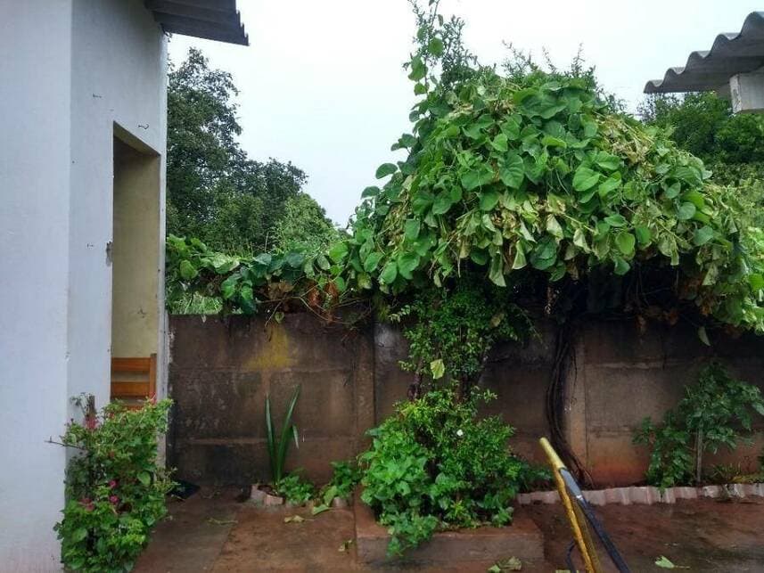 Foto 21 de 21: Casa em leilão em Promissão - SP — Casa à venda em leilão