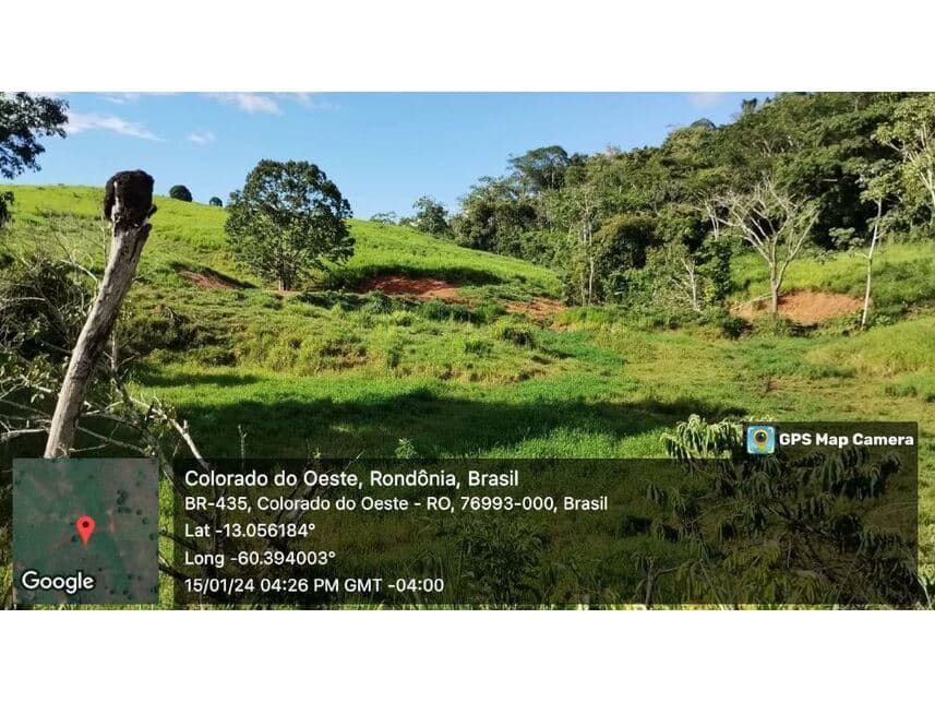 Foto 22 de 24: Area Rural em leilão em Vilhena - RO — Sítio à venda em leilão