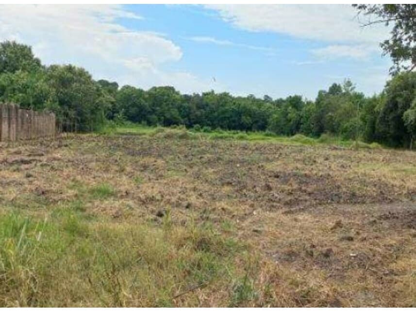 Foto 6 de 6: Terreno em leilão em Ribeirão Preto - SP — Terreno c/benfeitorias à venda em leilão