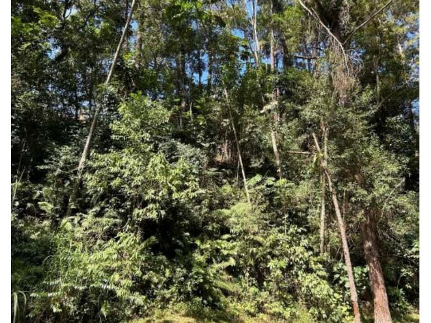 Foto 1 de 3: Terreno em leilão em Itapevi - SP — Terreno à venda em leilão