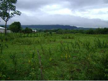 Terreno em leilão em Pirassununga - SP, bairro Jardim Petrópolis — Leilão judicial de Terreno em Pirassununga/SP - Jardim Petrópolis
