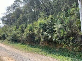 Terreno em leilão em Mairiporã - SP, bairro Pirucaia — Leilão judicial de Terreno em Mairiporã/SP - Pirucaia