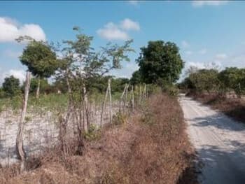 Terreno em leilão em Pacajus - CE, bairro Curimatã — Leilão extrajudicial de Terreno em Pacajus/CE - Curimatã
